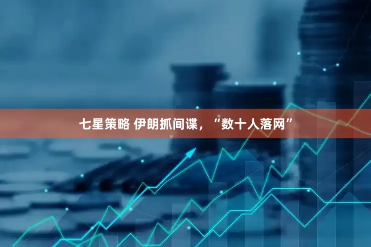 七星策略 伊朗抓间谍，“数十人落网”