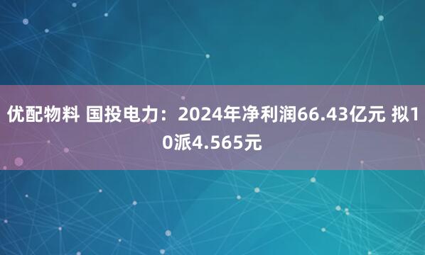 优配物料 国投电力：2024年净利润66.43亿元 拟10派4.565元