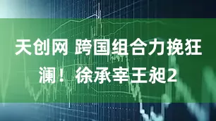 天创网 跨国组合力挽狂澜！徐承宰王昶2